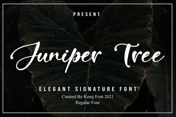 Juniper Tree: A Playful Handwritten Script Font for Editorial Design