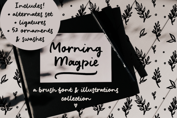 Morning Magpie: A Delicate Script Font for Editorial Design