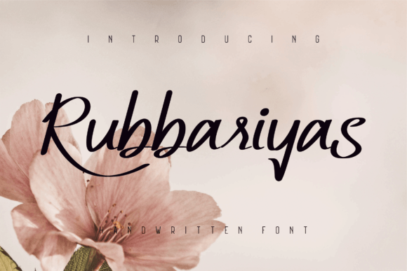 Rubbariyas Font for Modern Web Design and Branding