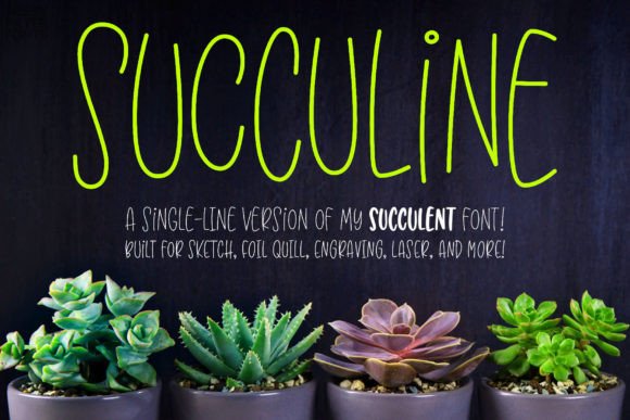 Succuline Single Line for Creative Campaigns and Branding